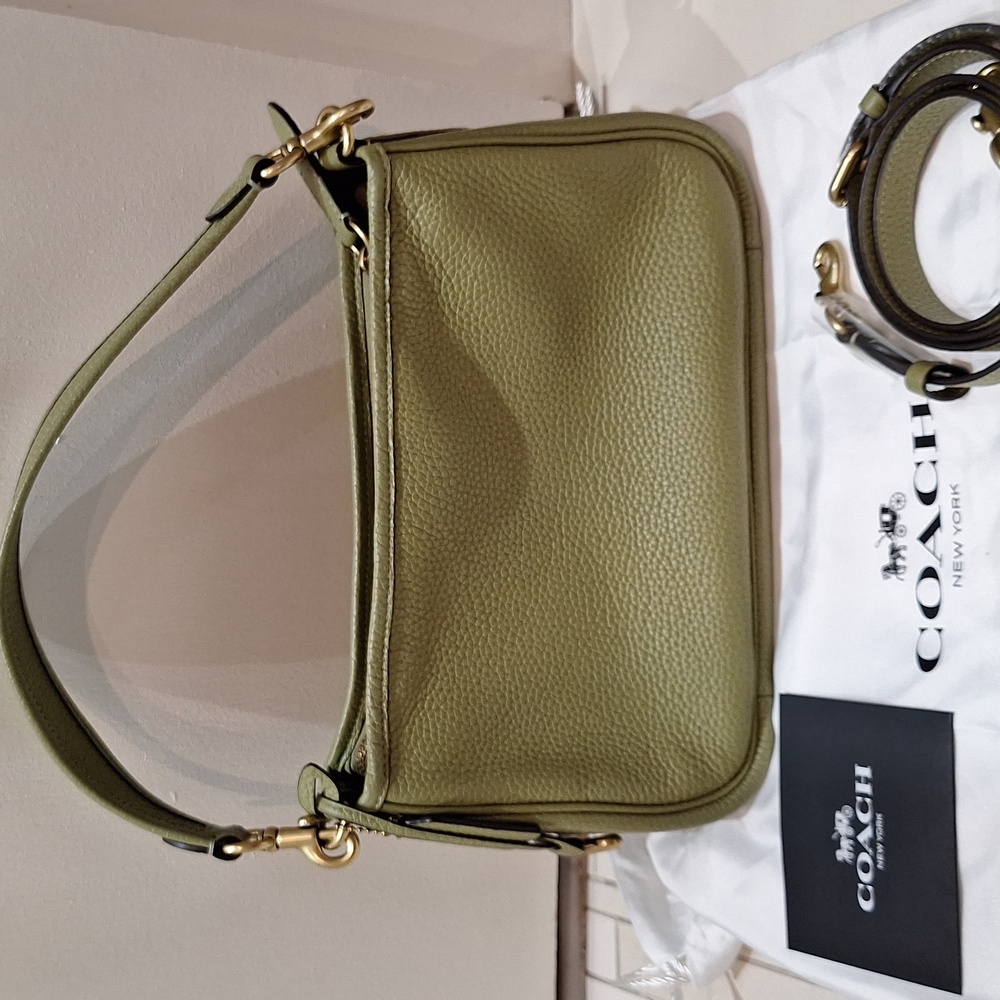 Coach green cary handbag